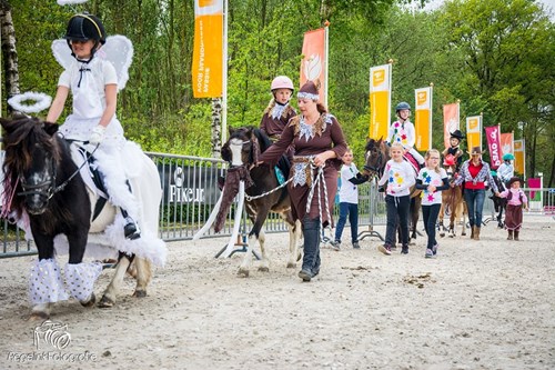 Soms Grommen deuropening Spelletjes met je pony - Bixiekids